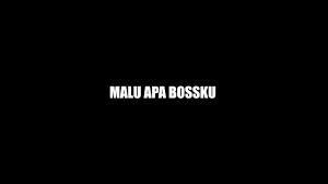 Over the weekend, the phrase malu apa bossku had even made its way into the popular song contest anugerah juara lagu 33, prompting najib to tout his own popularity. Malu Apa Bossku Remix By Amemo Youtube