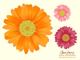 Download Summer Flowers 21192 Free Ai Eps Svg Download 4 Vector