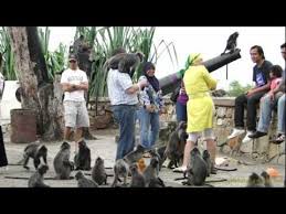 Despite there being many vendors selling food for the. Bukit Malawati Kuala Selangor Kuala Selangor Fireflies Tour Youtube