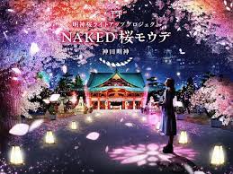 Naked Sakura Pilgrimage | Things to do in Tokyo
