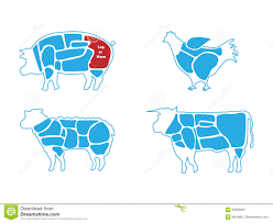 Beef Pork Lamb And Chicken Meat Butchers Chart Stock