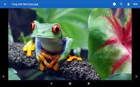 Universal viewer, free and safe download. File Viewer Para Android Apk Gratis Descargar Wiki