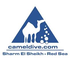 Sharm el sheikh is a wonderful tourist area along the red sea in egypt. Camel Dive Club Tauchschule Agypten Dailydive Com