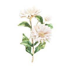Amazon Com Sepbridals Beautiful Enamel Flower Daisy Brooch Broach Pin Women Jewelry Accessories Hb058 Red Christmas Gift Jewelry Enamel Flower Daisy Flower