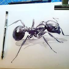 Pin On Art