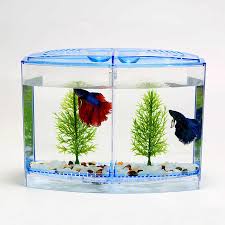 We did not find results for: New Acrylic Aquarium Betta Tank Mini Incubator Fishbowl For Fry Isolation Hatchery Guppy Fish Reptile Cage Turtle House At005 Aquarium Betta Acrylic Aquariumbetta Tank Aliexpress