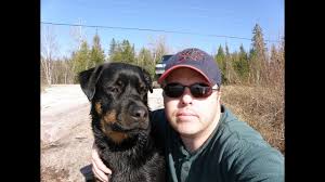 Cannabis Oil Cured My Dog Of Bone Cancer Chronic Hip Dysplasia Youtube