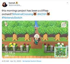 New horizons entrances to inspire you! What S The Best Animal Crossing New Horizons Orchard Layout