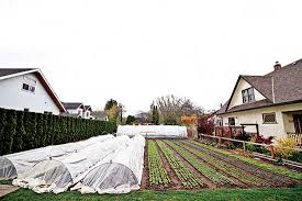 Alibaba.com offers 1,374 backyard farming products. Urban Backyard Farming For Profit Mother Earth News