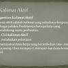 Masukkan tanda petik pembuka dan tetapi jangan awali kutipan dengan huruf besar. 1