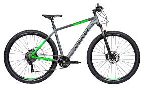 Carver Strict 160 29 Fahrrad Xxl Mountainbike Fahrrad