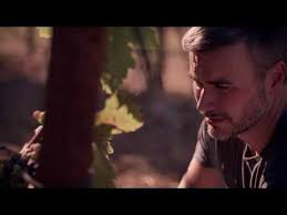 From the Bayou to the Bay