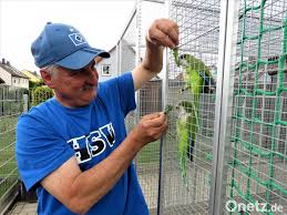 Ebay memo „die kleine raupe nimmersatt von eric carle. Mitterteicher Vogelzuchter Unterstutzt Hofer Zoo Onetz