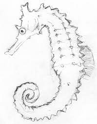Browse more other drawing of a seahorse, cartoon drawing of a seahorse, drawing of a seahorse, drawing picture of a seahorse, easy drawing of a seahorse, outline drawing of a seahorse, pencil drawing of a seahorse, steps of drawing a seahorse. Seahorse Sketch Seahorse Art Encaustic Art Art Inspiration