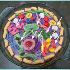 Check spelling or type a new query. Home Based Edible Cell Model Activity By Kyla Ilagan Download Scientific Diagram