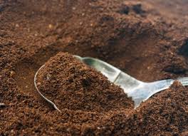 When not tapping away at her keyboard, laura can be found making endless cups of tea or perusing the shelves of sydney's many bookstores. How To Make Plants Grow Faster 10 Secret Ingredients For Your Garden Bob Vila