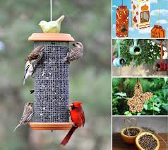 Mangeoire Oiseaux Dans Le Jardin En Plus De 25 Idees Faciles A Bricoler Mangeoire Oiseau Mangeoire Oiseaux Des Jardins