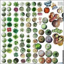 Backyard Landscaping Basic Landscaping Planning Tips Diy Landscape Backyard Landscape Design Plans Photoshop Trees Architecture Drawing