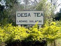 Its population was estimated to be around 8,970 in 2010. Ladang Teh Sabah Wikipedia Bahasa Melayu Ensiklopedia Bebas