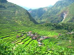 A learning diary is similar to a journal, but may the field notes were written by hand on lined paper. Philippines Agriculture Information About Agriculture In Philippines