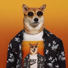 Choose your favorite roblox sale shirt style: Nike Doge Shirt Buy Clothes Shoes Online
