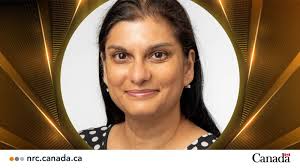 Adi Wang, Eng., M.Eng., PMP