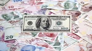 Dollar index, which tracks the greenback against a basket of six other currencies, stood at 99.403, up 0.3%, eur/usd dropped 0.1% to 1.0962, while usd/jpy rose 0. Dolar Tl Dalgalaniyor Doviz Haberleri