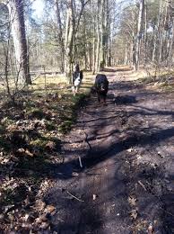 Bekijk alle reviews en foto's, vergelijk aanbieders en boek je vakantie. Leemkule Hattem Bordercollieluna