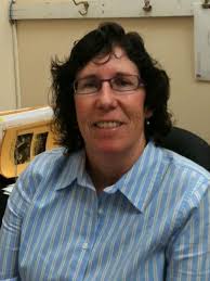 Meet the new faculty