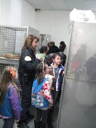 If the shelter is run exclusively by your city or county, an internet search might reveal which city agency or employee is charged with responding to public information requests. Girl Scouts Visit Clare County Animal Shelter Cccleaver