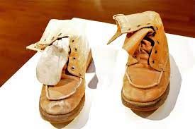 images?q=tbn:ANd9GcQuxYut84qGXrC-rzLw9bg