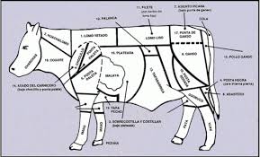Maybe you would like to learn more about one of these? What Are The Names Of The Different Cuts Of Chilean Meat In English Andes Property Andes Property