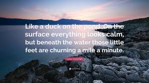 Like a duck, it is a duck phrase. Gene Hackman Quote Like A Duck On The Pond On The Surface Everything Looks Calm But Beneath The Water Those Little Feet Are Churning A Mi