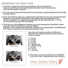 The Dairy Fairy Arden All In One Nursing And Hands Free