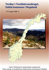 Suldal kommune er ein lærande organisasjon, og har gode ordningar for. Verdiar I Norddalsvassdraget Suldal Kommune I Rogaland Pdf Free Download