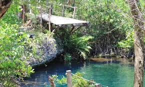 The food was good and the service was, too. Tulum Restaurants Tulum Now