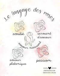 Le Langage Des Roses The Language Of Roses Amitie Friendship Serment D Amour Promise Of Love Amour Naissant N Amour Platonique Mots Francais Langage Des Fleurs