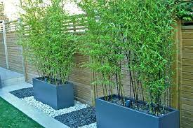 Then a garden screen could be the right fit. Diy Outdoor Screens And Backyard Privacy Ideas The Garden Glove