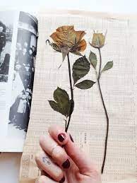 All you need is some florist wire, which you simply twist around the stem and make the shape you like. How To Press Botanicals Collective Gen Pressed Flowers Diy Pressed Flower Crafts Pressed Flower Art