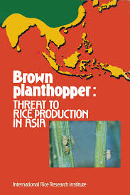 Berikut beberapa khotbah natal yang bisa menjadi referensi. Http Books Irri Org 9711040220 Content Pdf