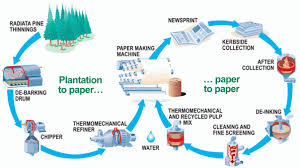 Recycling is the process of converting waste materials into new materials and objects. Cardboard Recycling Process Why We Should Step Its Advantages