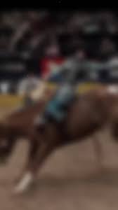 Riley Haug (@rchaug)