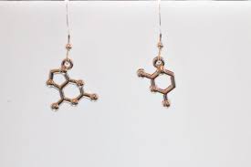 Dna Base Pair Molecule Earrings Or Necklace Friendship Earrings Or Necklace Sterling Silver Earrings Silver Base Pair Chemistry Earrings Earrings Friendship Necklaces Necklace