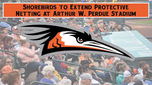 shorebirds to extend protective netting at arthur w perdue