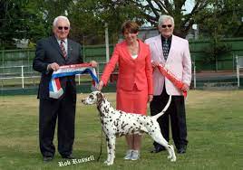 We did not find results for: Yoruke Dog Kennel Cattery Countryside Pet Resort