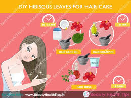 They are found all year round and make for an amazing hair mask for hair loss. How To Use Hibiscus Leaves Flowers For Hair Growth Stop Hair Loss