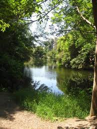 Field Trip Friday El Dorado Nature Center Goexplorenature Com Nature Center Pretty Nature Pictures Explore Nature