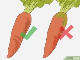 Another thing that you need to do is to make sure that you are going to pick the potatoes when the weather is dry to lessen the spreading of any diseases from the. How To Select Carrots 12 Steps With Pictures Wikihow