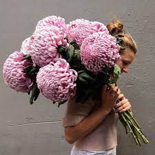 Pin On Flowers Make Me Happy