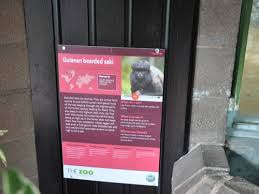 It is in a relatively secluded location on the northeastern slope of caveh. Belfast Zoo Signage By Category Animals Guianan Bearded Saki